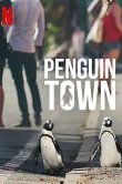 Город пингвинов
