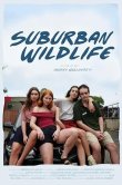 Suburban Wildlife